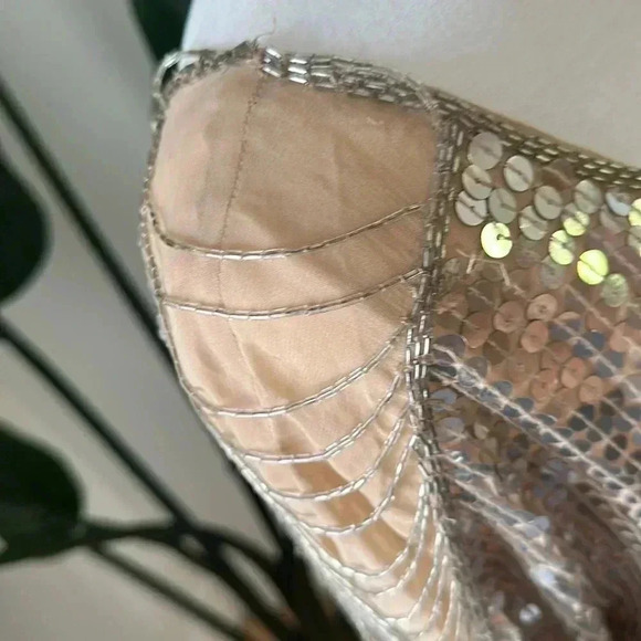 Haute Hippie XS Silver Sequence dress - Picture 4 of 12